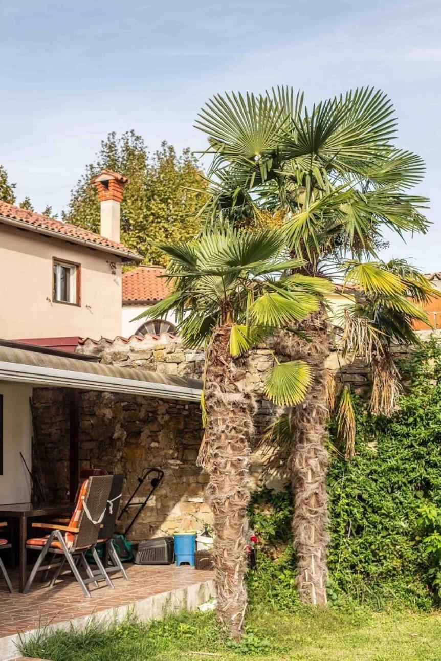 Apartament Cozy Corner Koper Zewnętrze zdjęcie